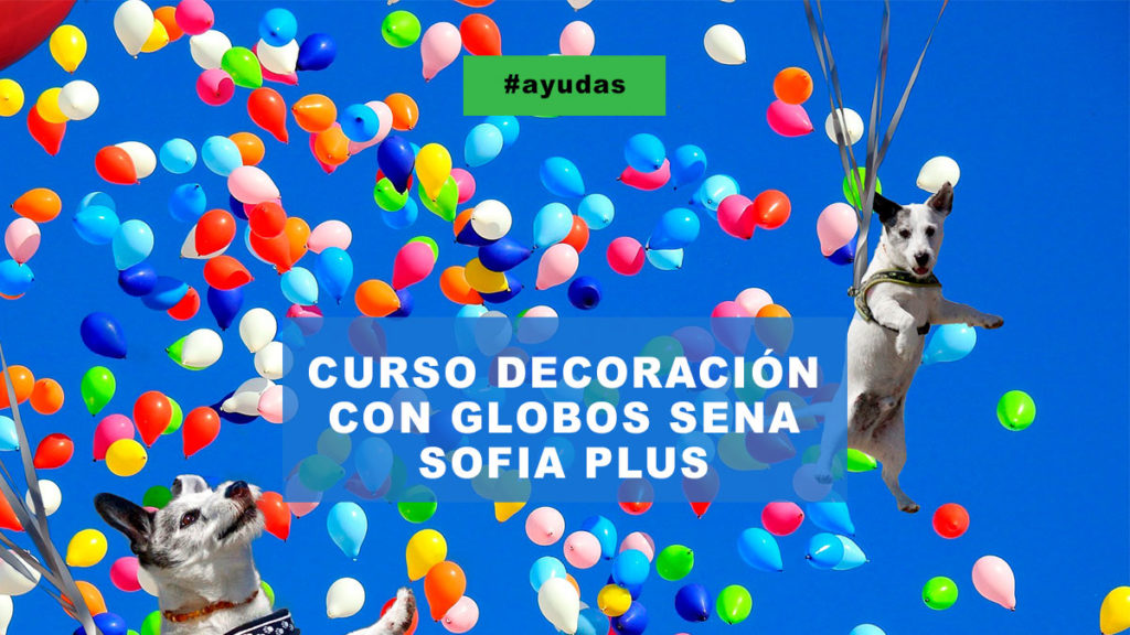 CURSO DECORACION CON GLOBOS SENA SOFIA PLUS