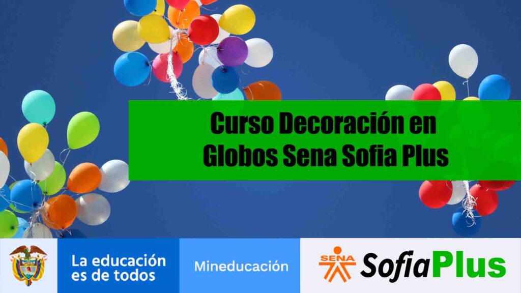 Decoración Globos Sena Sofia Plus